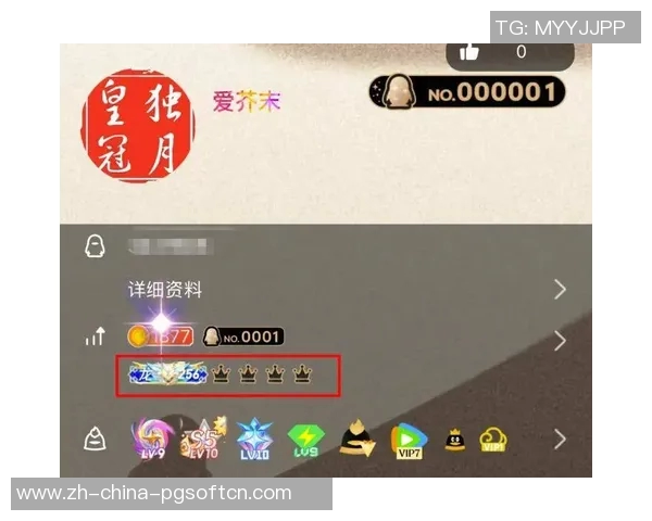 pg电子有官方网站吗-PG电子有官方网站吗？探讨与解析-pg电子有官方网站吗